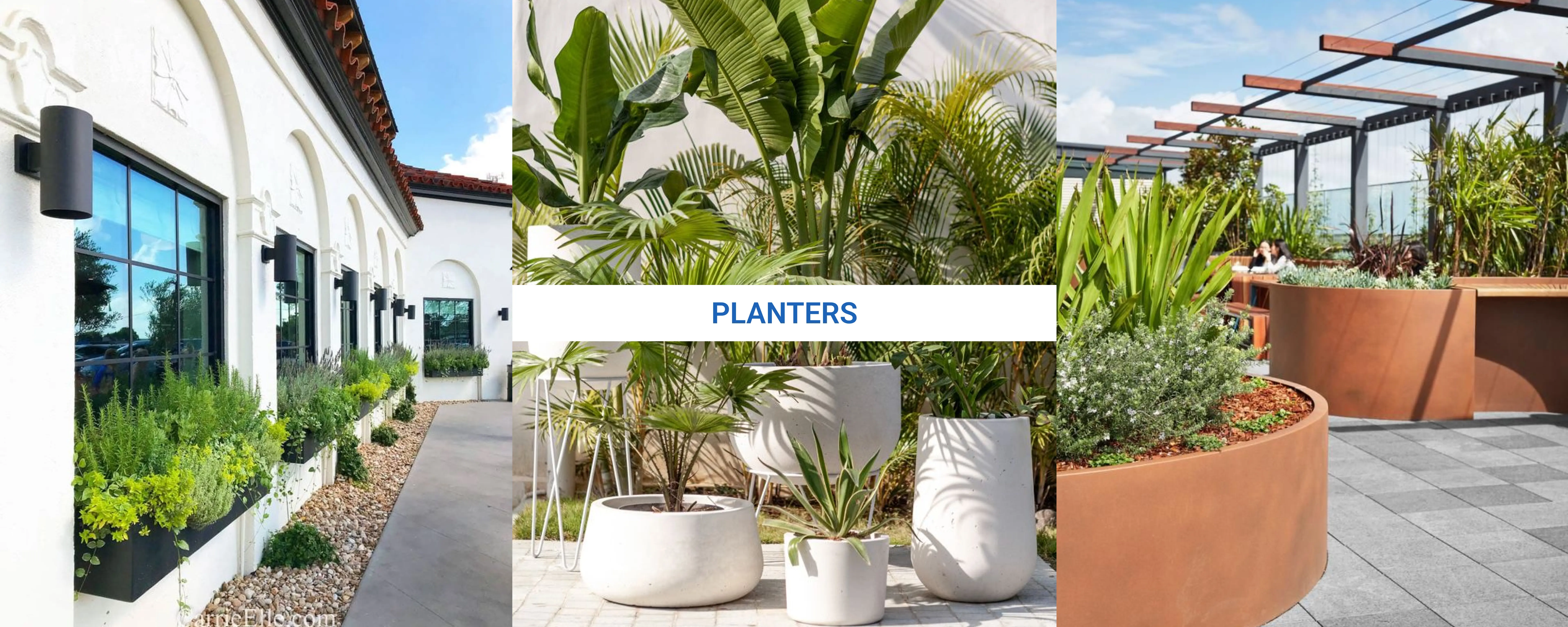 Planters Banner